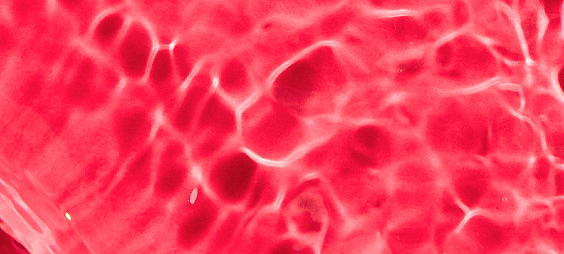 Glycolic Acid Product Push 2000x900